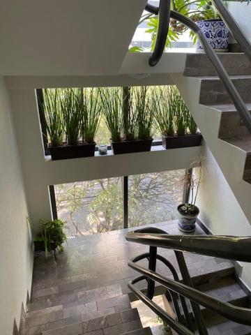 Apartment Sinaloa 46 *